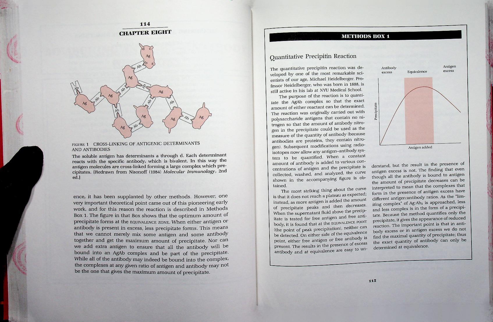 IMMUNOLOGY: A SYNTHESIS