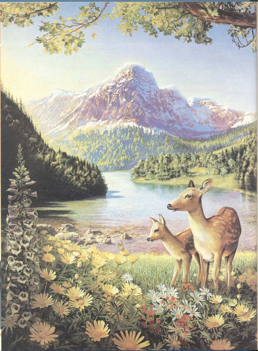 ชีวิตเกิดขึ้นมาอย่างไร? โดยวิวัฒนาการหรือผู้มีสร้าง? (พระเยชู)