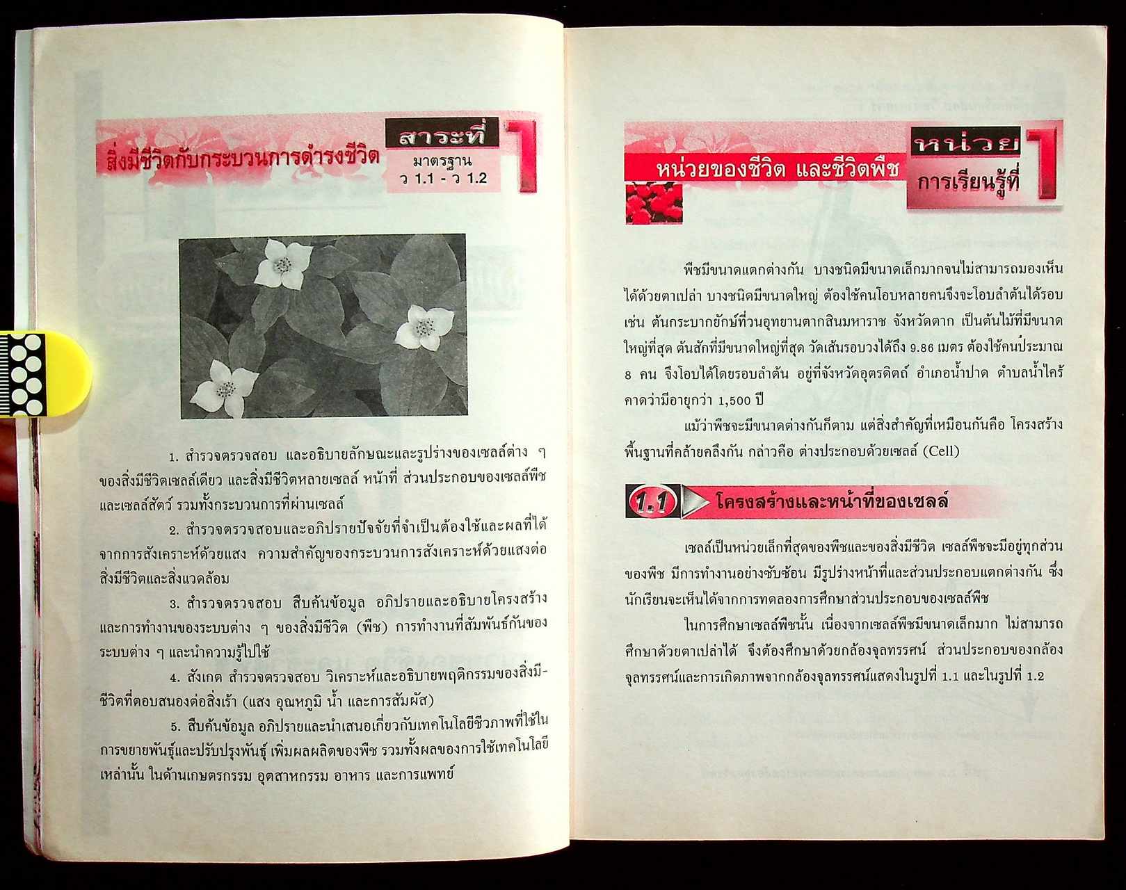 วิทยาศาสตร์ 1 ช่วงชั้นที่ 3 (มัธยมศึกษาปีที่ 1-3)