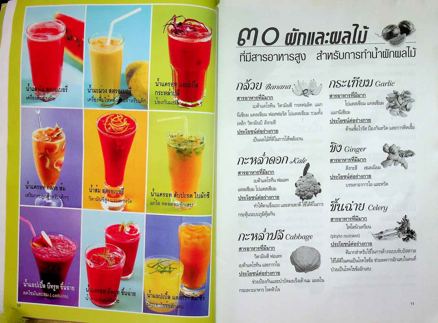 คู่มืออาหารปลอดสารพิษ เครื่องดื่มเพื่อสุขภาพ น้ำผัก น้ำผลไม้ น้ำสมุนไพร น้ำธัญพืช