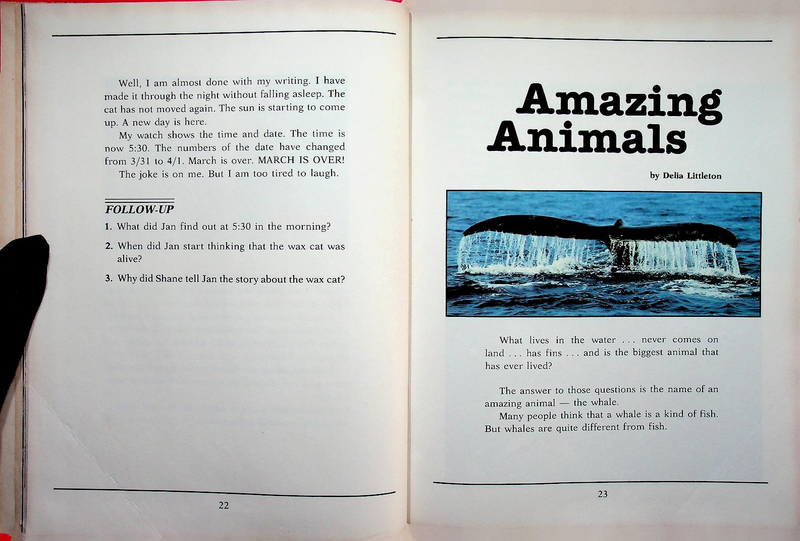 WINGS FORTUNES TEXAS (NEW DIRECTIONS IN READING)