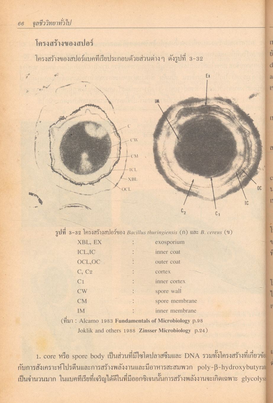 จุลชีววิทยาทั่วไป