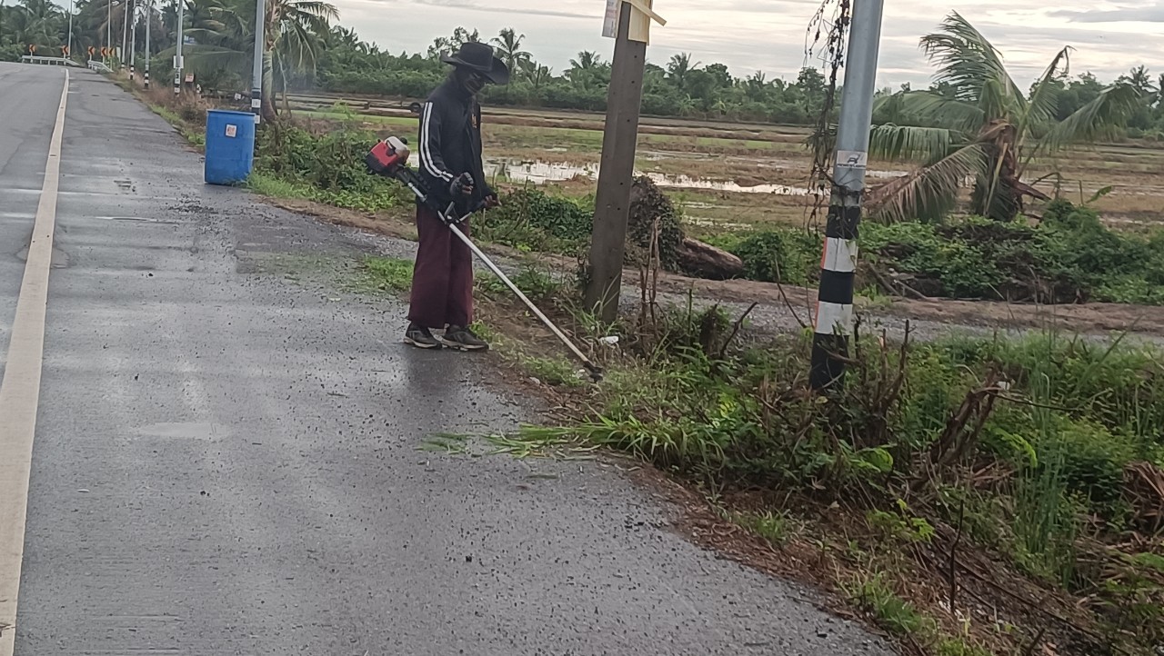 รับเหมาตัดหญ้าตามไหล่ทาง รับเหมาตัดหญ้าตามไหล่ทาง