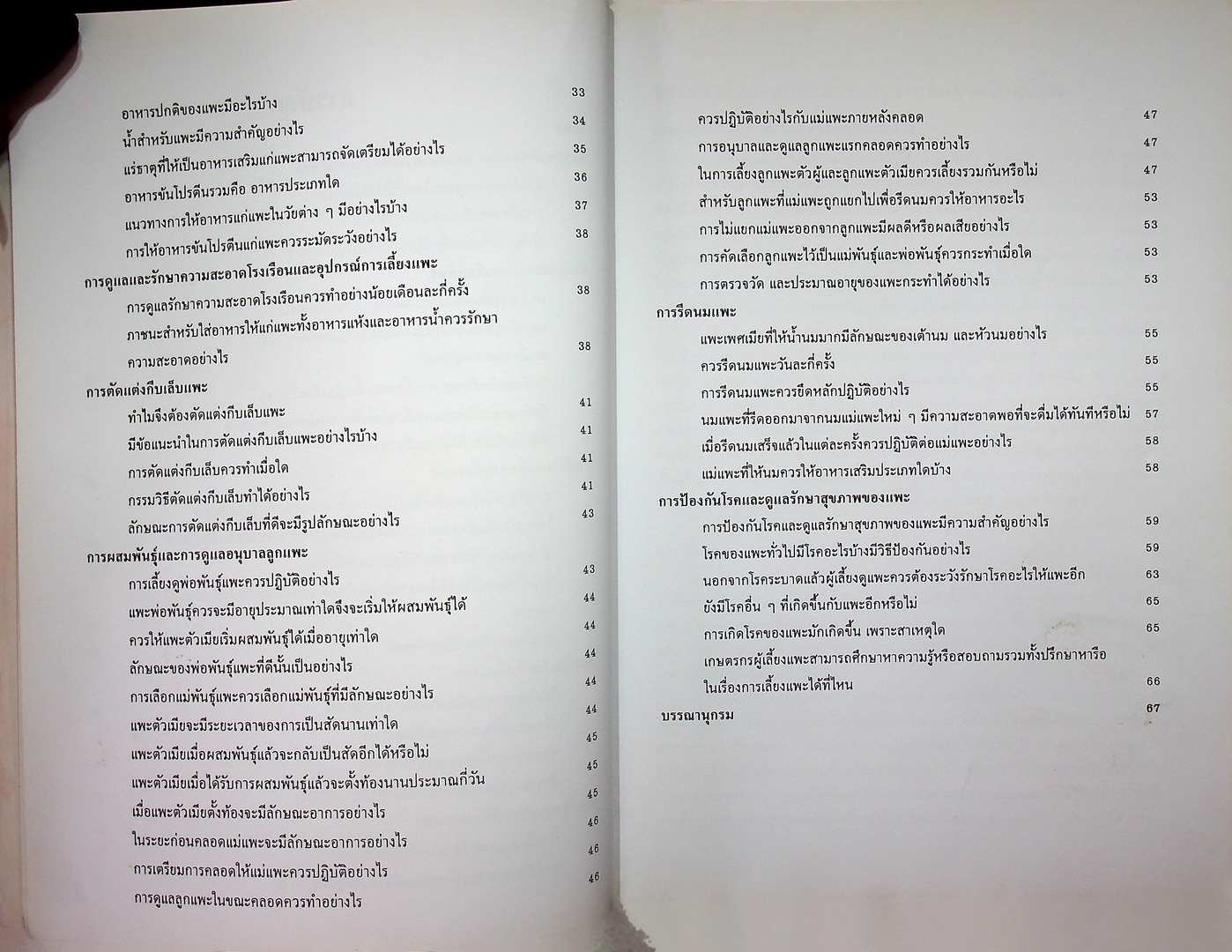 เกษตรธุรกิจครัวเรือน แพะ เลี้ยงง่าย ได้ราคา