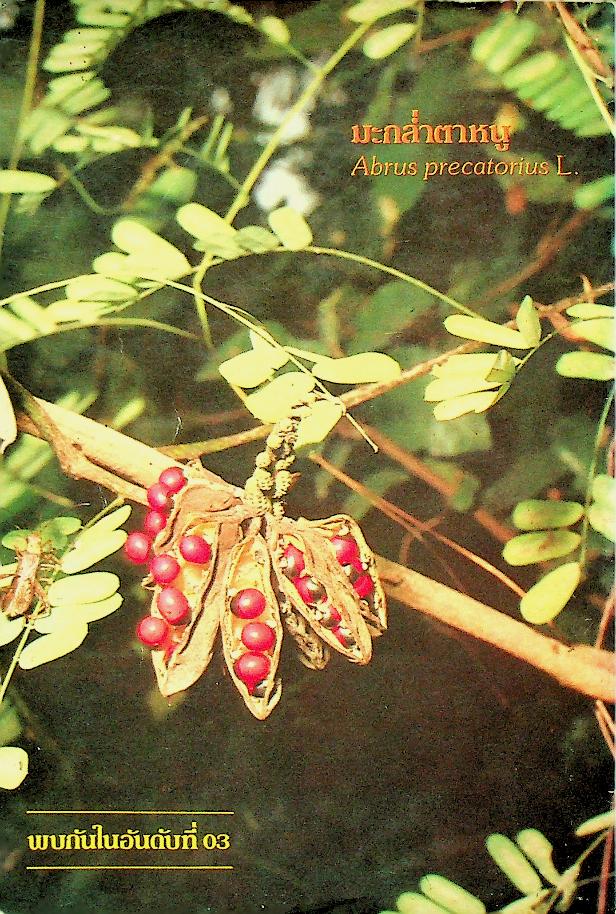 สมุนไพร อันดับที่ 02 โครงการศึกษาวิจัยสมุนไพร