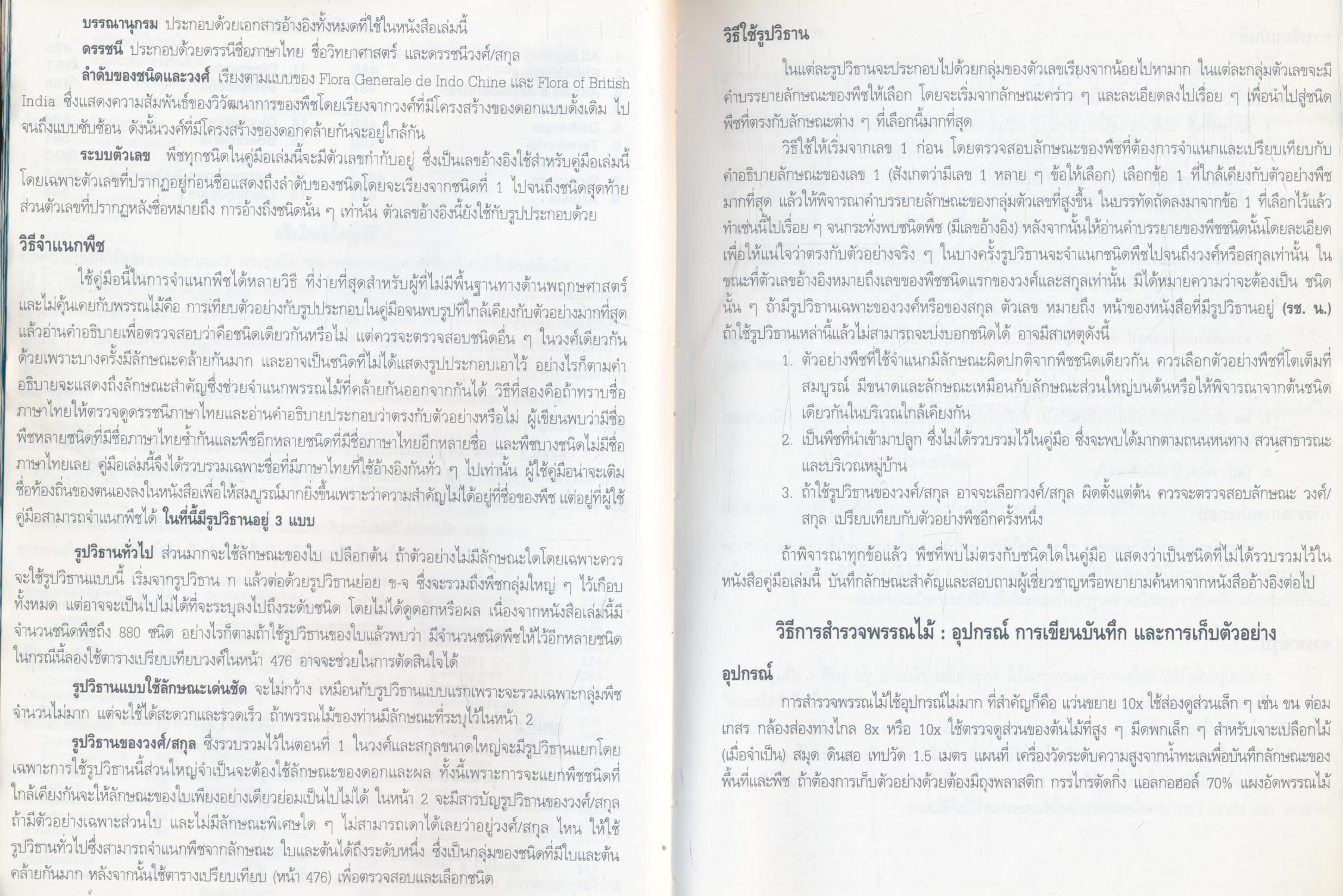 ต้นไม้เมืองเหนือ