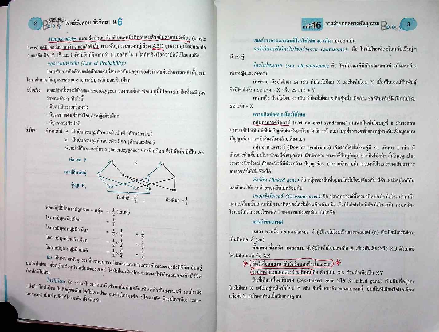 ตะลุยโจทย์ข้อสอบ ชีววิทยา ม.6 เล่มรวม 5-6