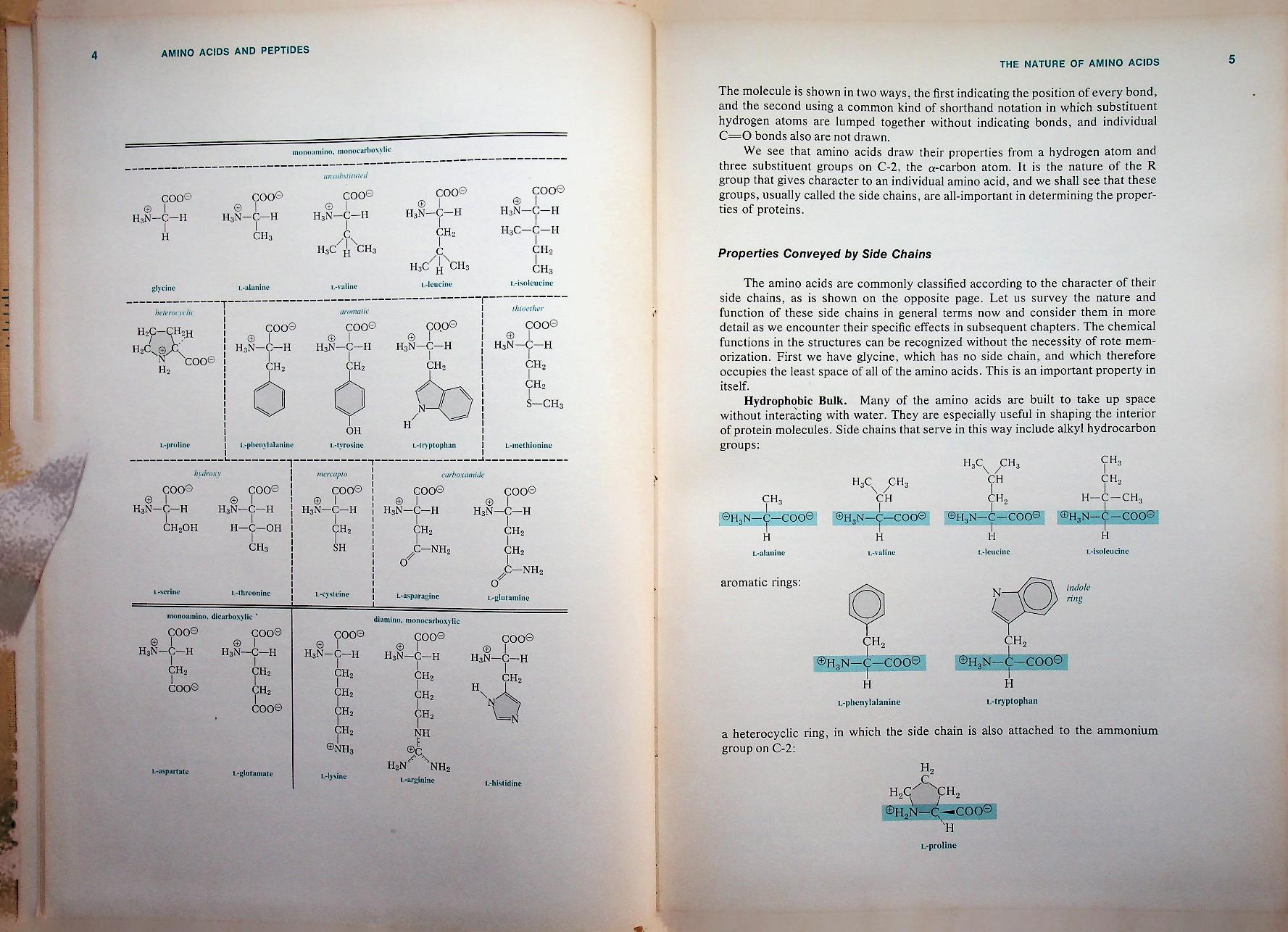 BIOCHEMISTRY A Functional Approach