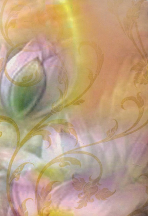 เพ็ชรในดวงใจ ที่ระลึกงานพระราชทานเพลิงศพ(เป็นกรณีพิเศษ) พ่อเพ็ชร์ เพชรจอม 2554