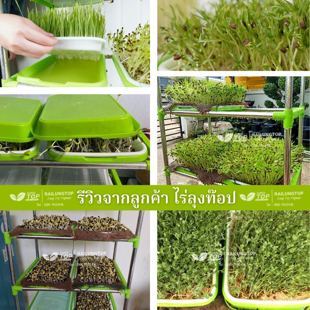 ชุดชั้นปลูกไมโครกรีนพร้อมถาด SUPERTOP Hydrosprout Shelf
