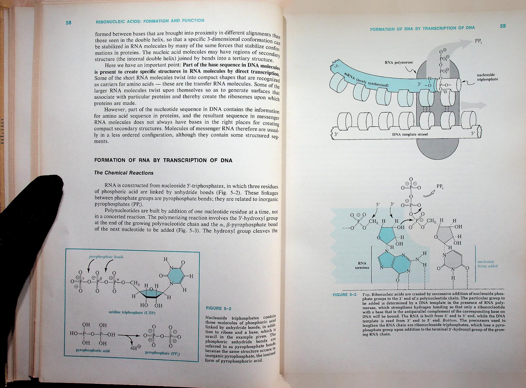 BIOCHEMISTRY A Functional Approach