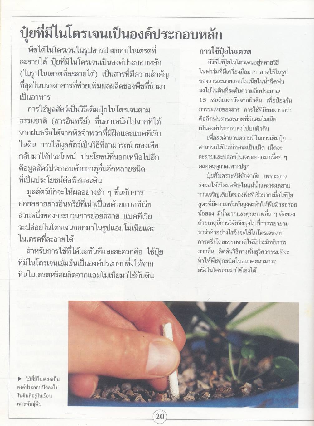 ไนโตรเจน และ ฟอสฟอรัส NITROGEN AND PHOSPHORUS