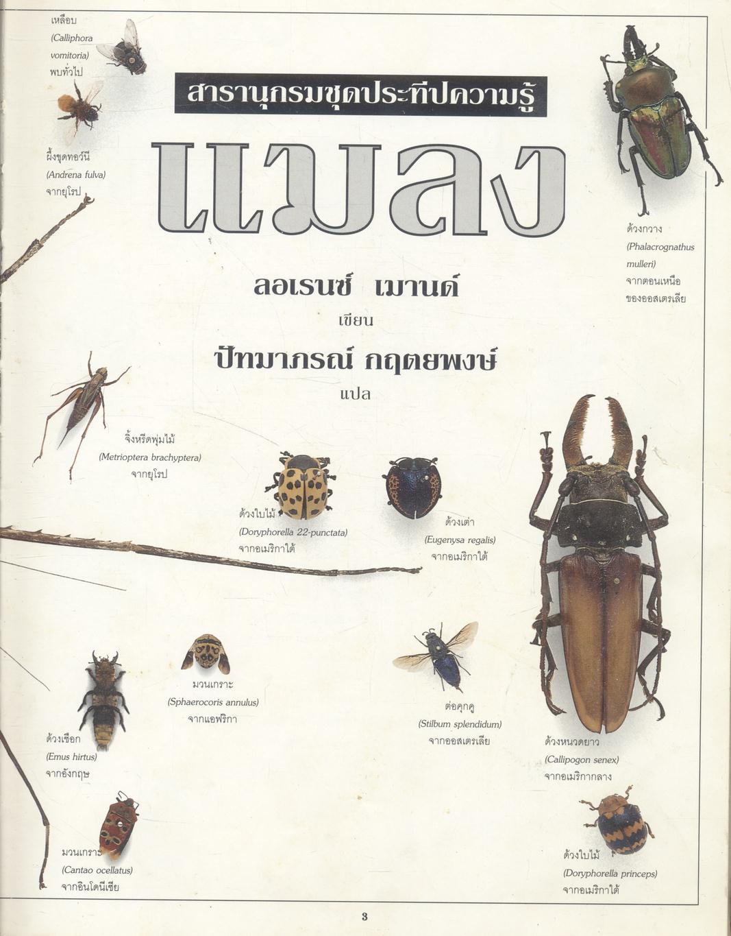 สารานุกรมชุดประทีปความรู้ แมลง