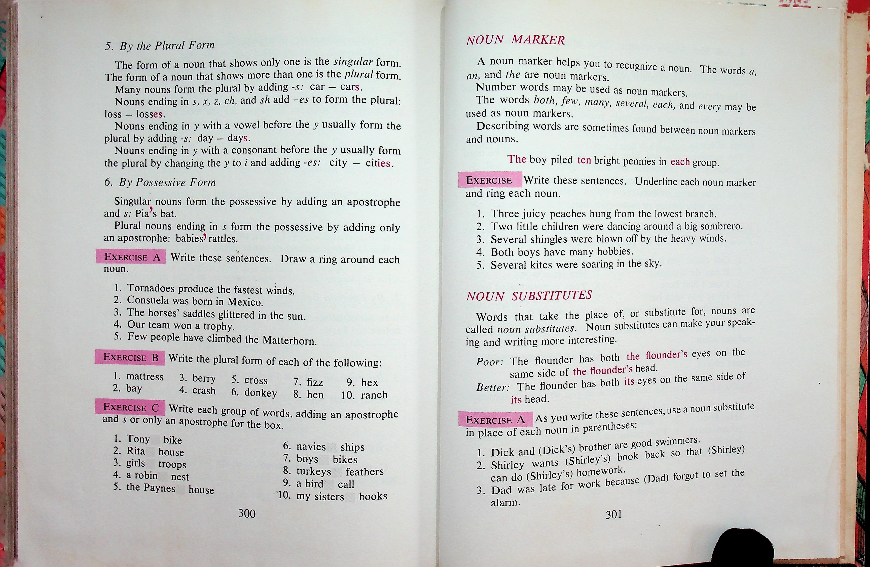 OUR LANGUAGE TODAY Level D