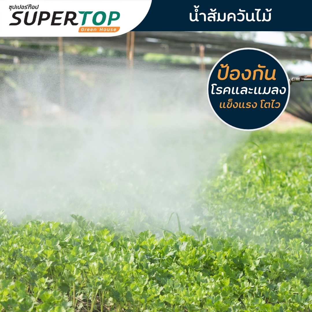 ไบโอพลัส- น้ำส้มควันไม้ 100% สูตรเข้มข้น 500 ml.