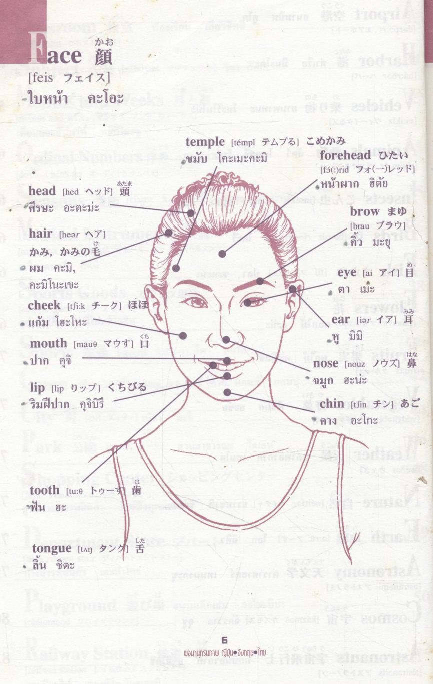 พจนานุกรมภาพ คำศัพท์ 3 ภาษา ญี่ปุ่น อังกฤษ ไทย