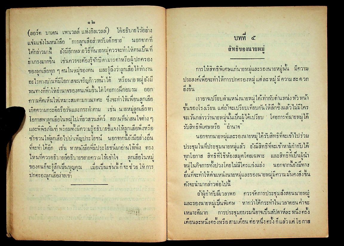 ระบบหมู่