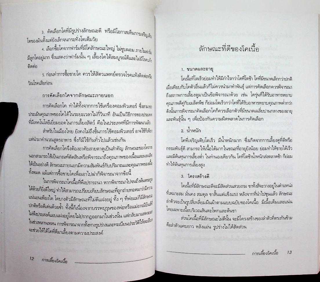 การเลี้ยงโคเนื้อ