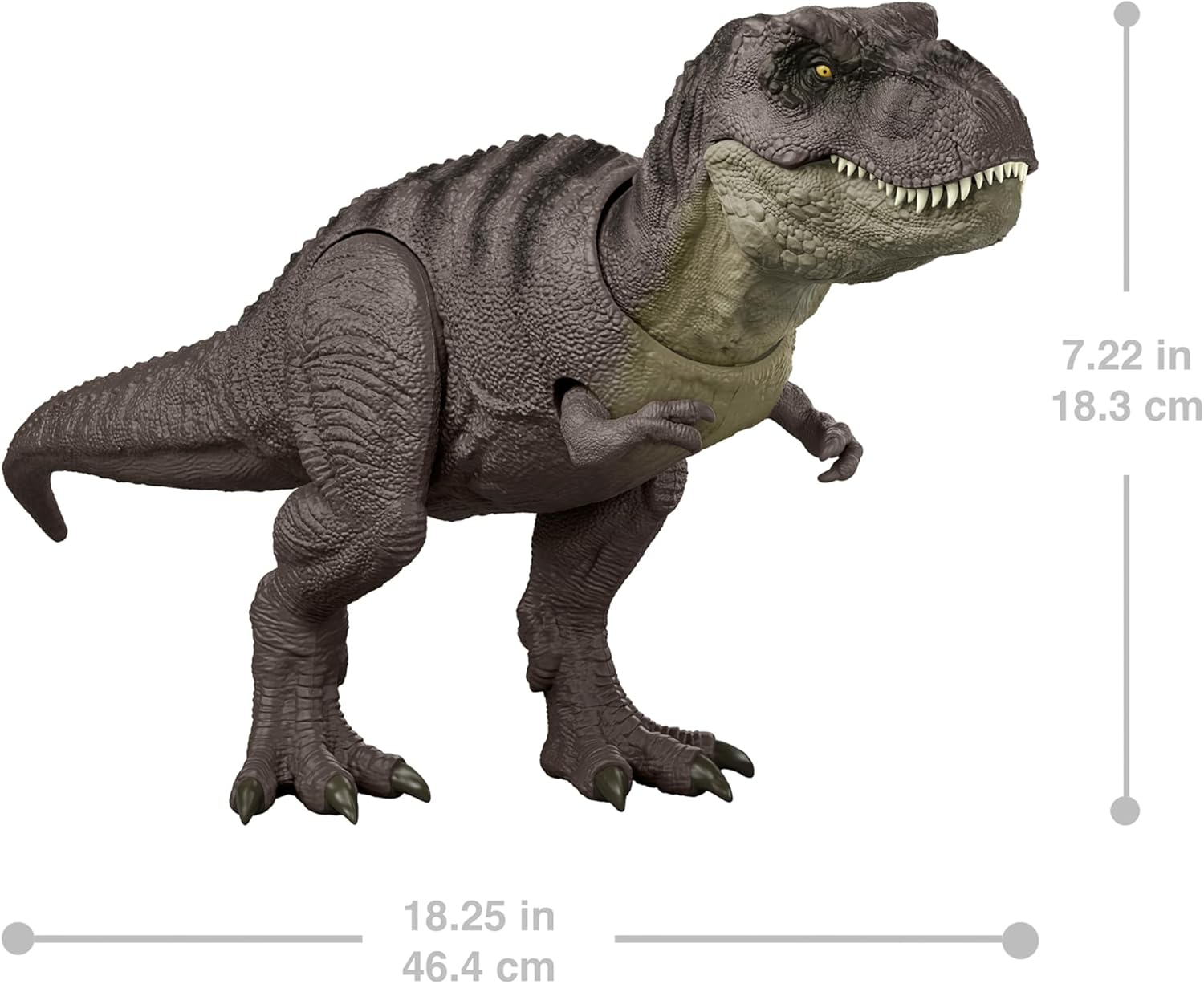**MTS Toys**Mattel Jurassic World Rebirth : JGM16 Tyrannosaurus Rex [ความยาวจากหัวถึงหาง 46 ซ.ม.]