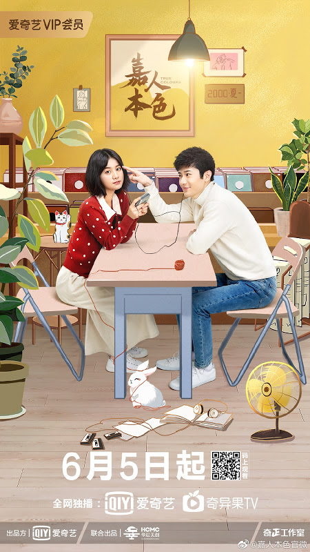 DVD ซีรี่ย์จีน True Colours เปลี่ยนร้ายเป็นรัก (ซับไทย) 4 แผ่นจบ.