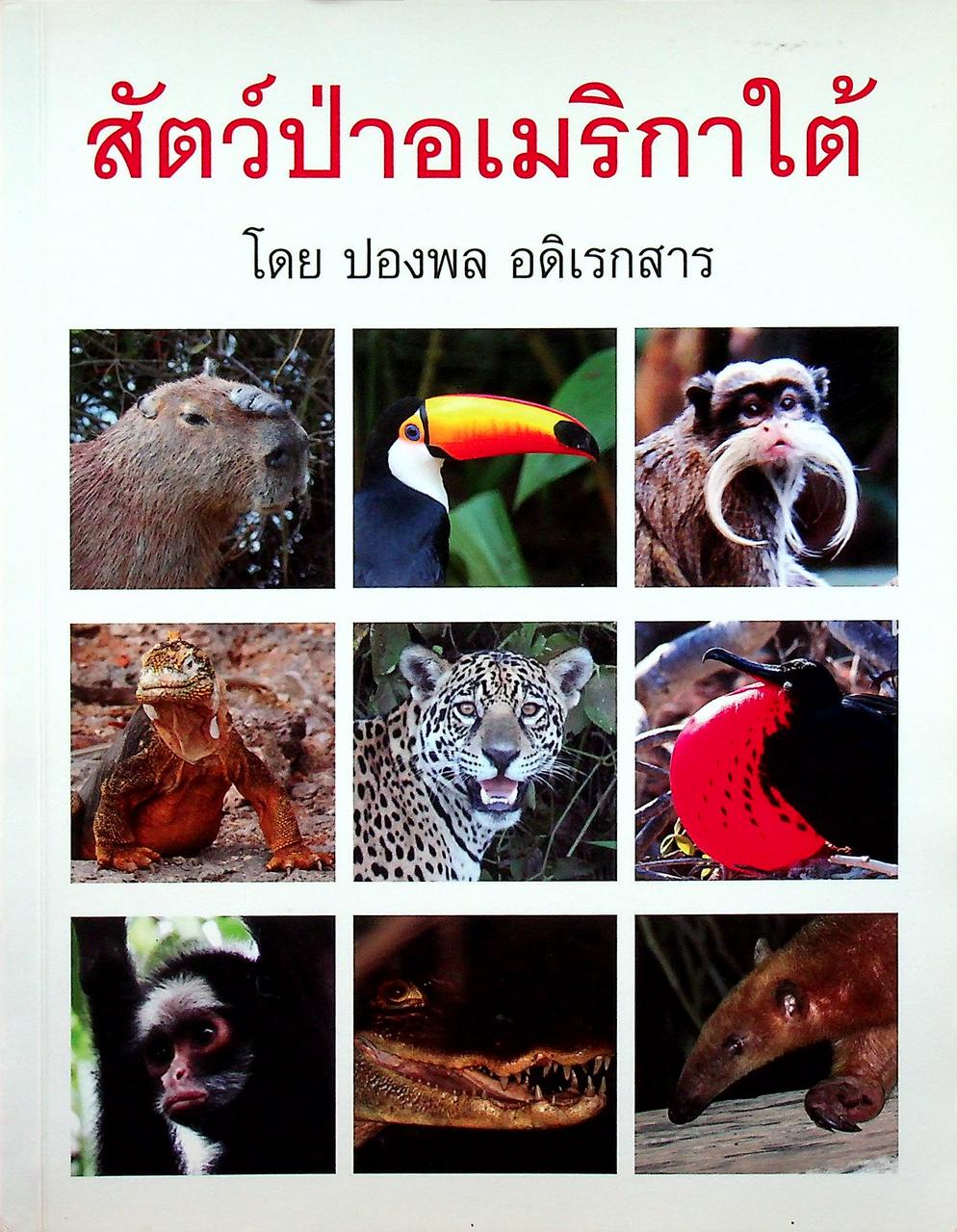 สัตว์ป่าอเมริกาใต้