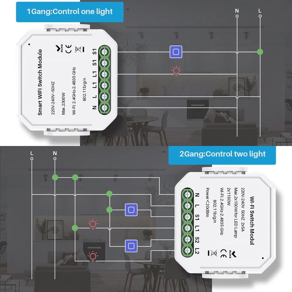 SmartLife Wifi switch module 2CH