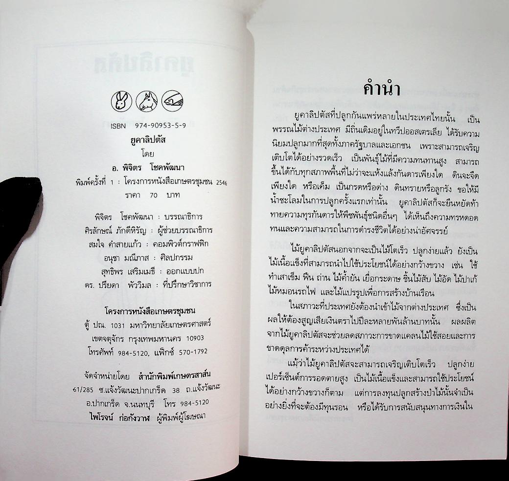 คู่มือการปลูก ยูคาลิปตัส