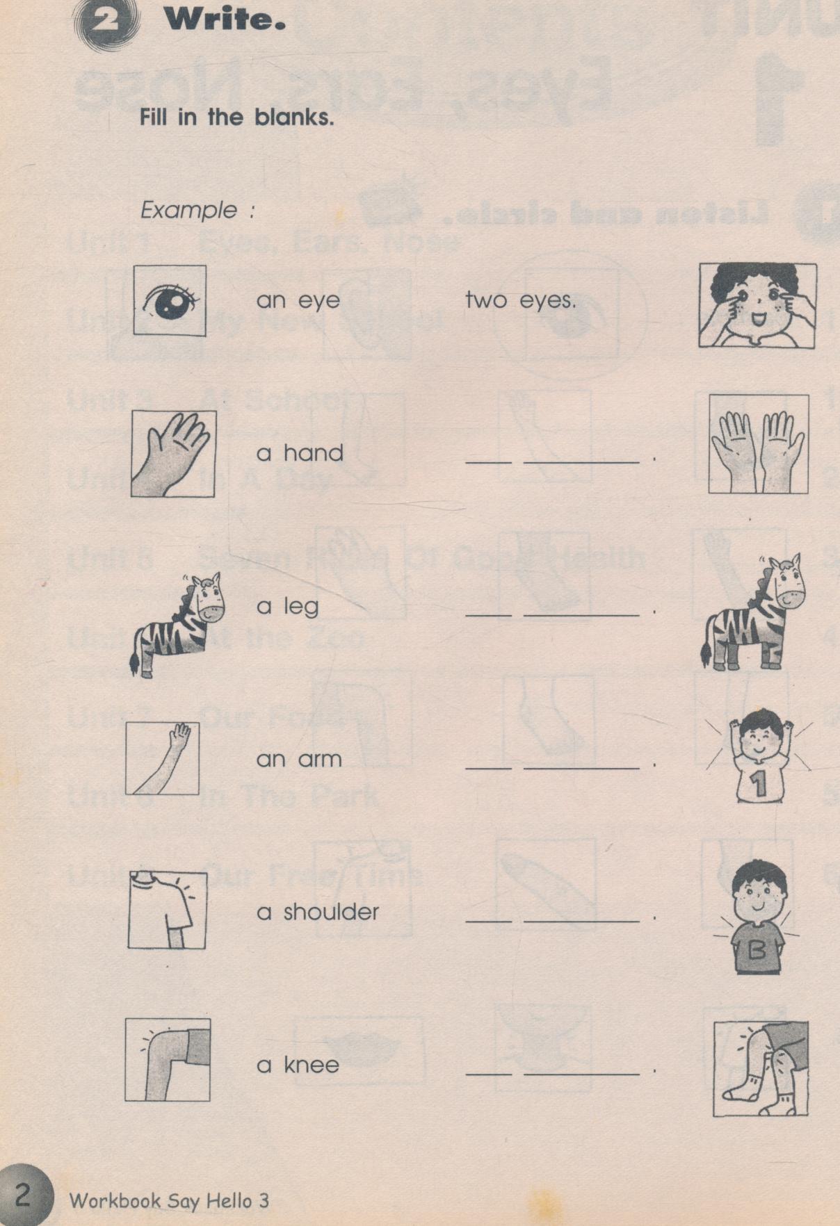 WORKBOOK Say Hello 3