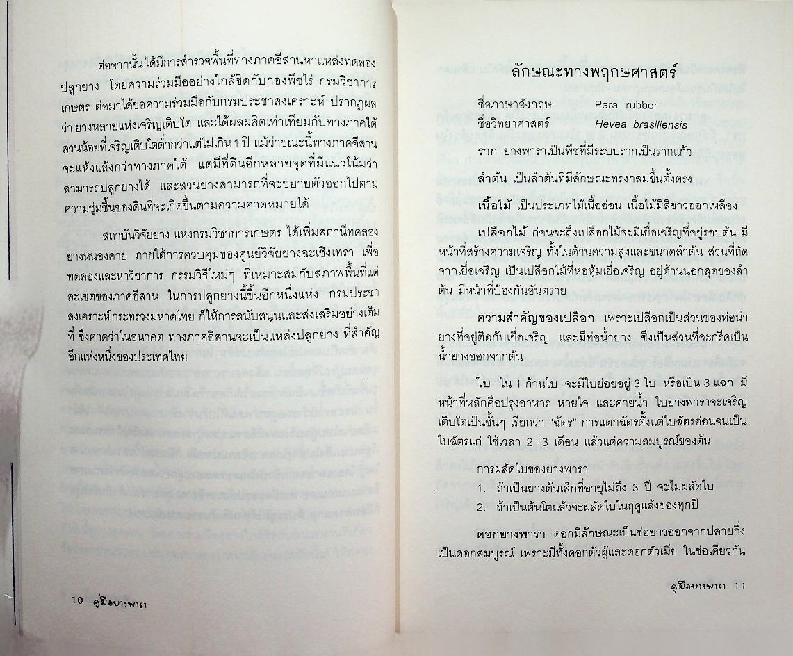 คู่มือยางพารา