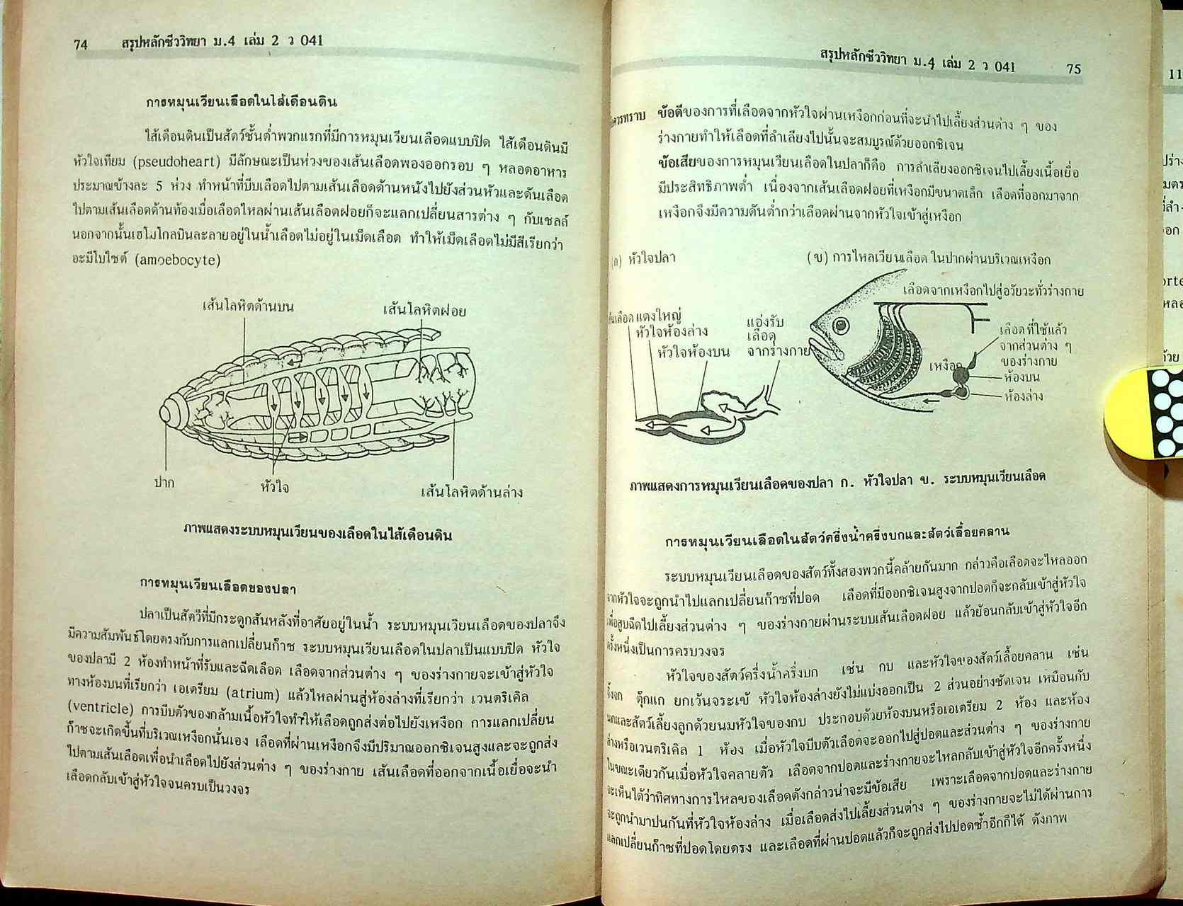 สรุปหลัก & สูตร ฟิสิกส์ เคมี ชีววิทยา ม.4 เล่ม 2 ว 021 , ว 031 , ว 041