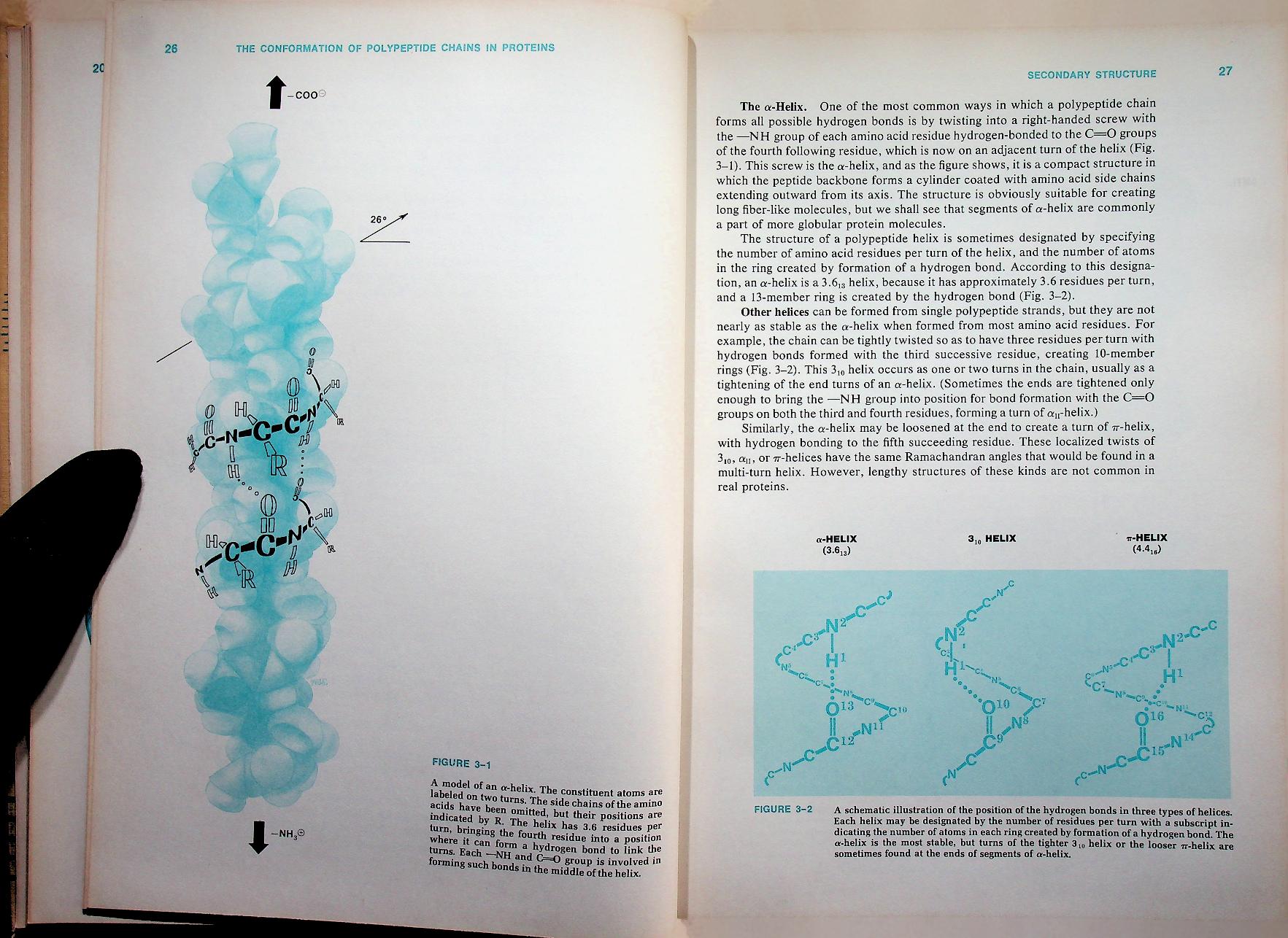BIOCHEMISTRY A Functional Approach