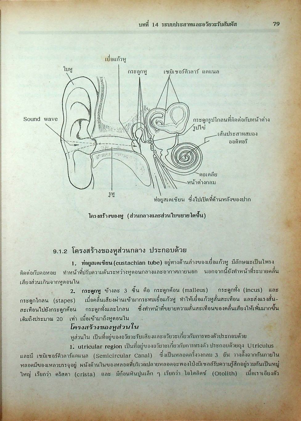 คู่มือเตรียมสอบ ชีววิทยา ม.6 เล่ม 5 ว 044
