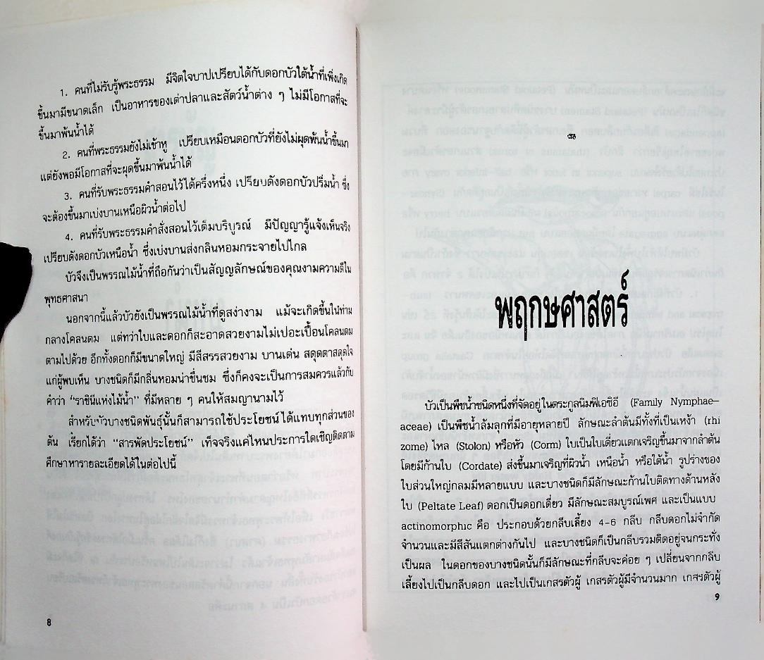 การปลูกบัว