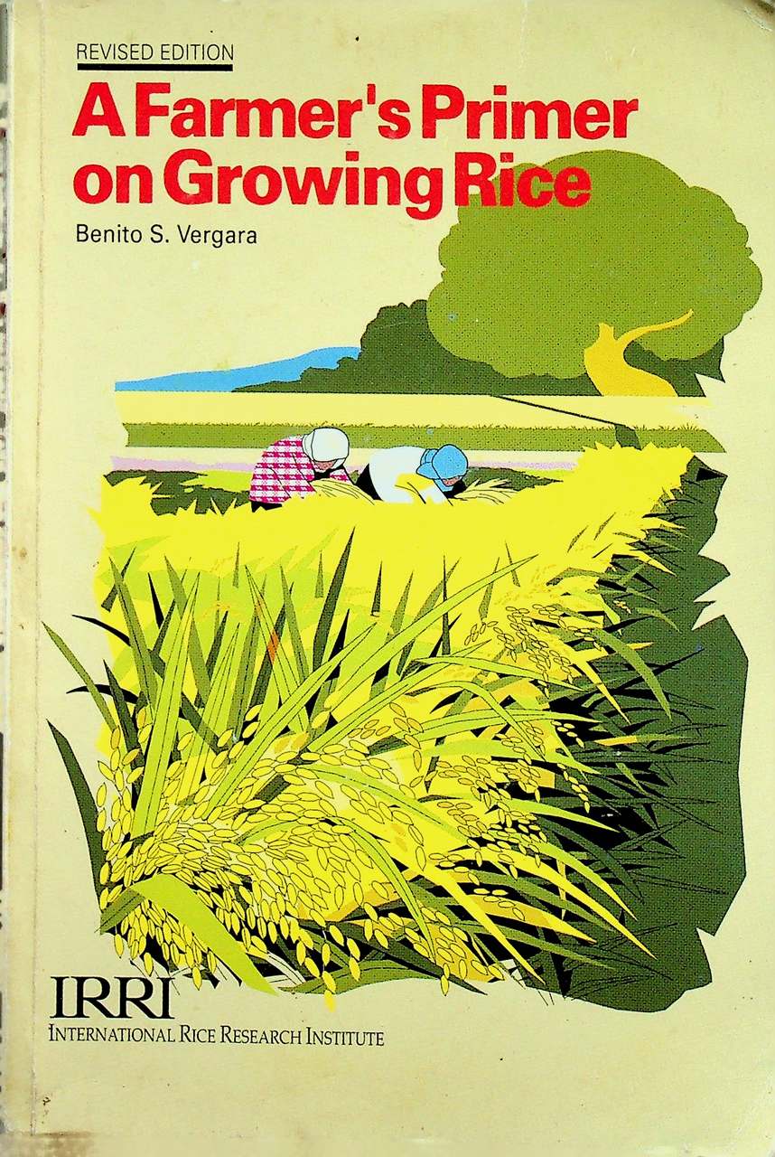 A Farmer's Primer on Growing Rice