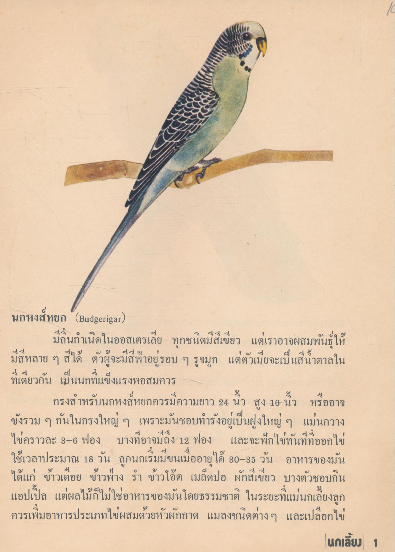 หนังสือชุด สวนสัตว์อนุชน นกเลี้ยง