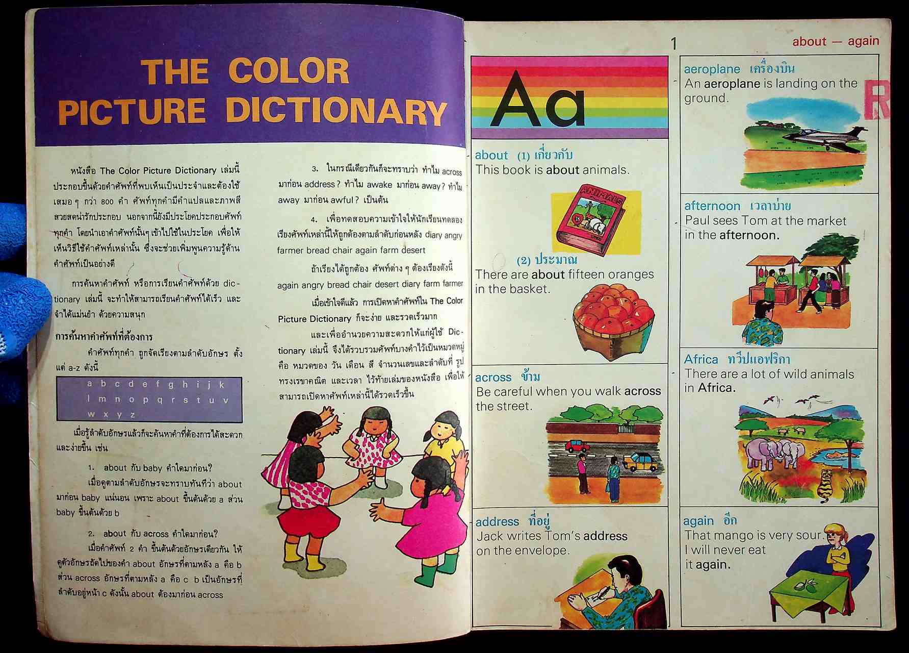 THE COLOR PICTURE DICTIONARY