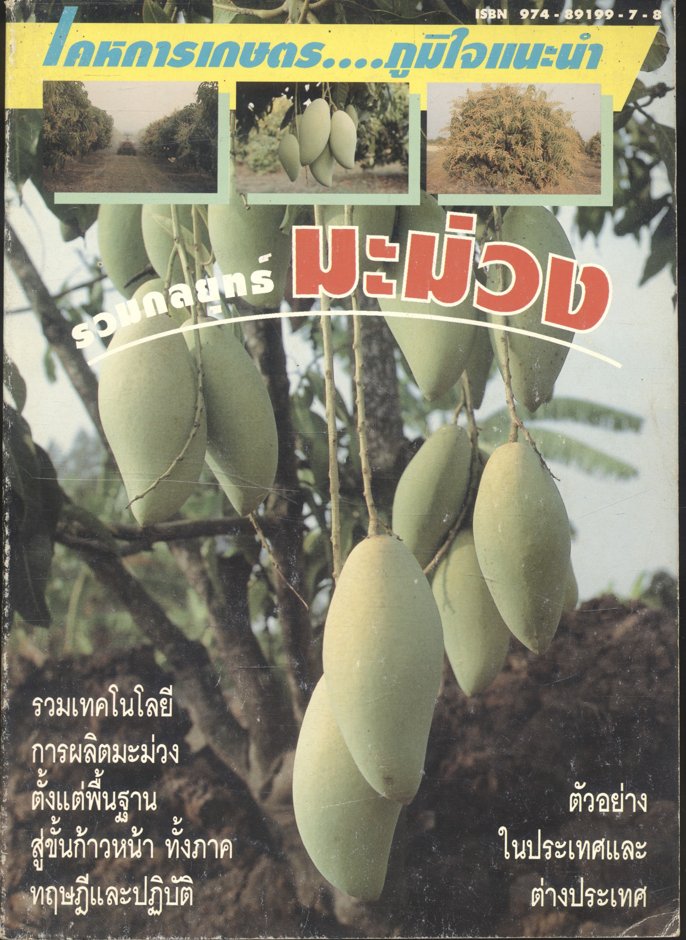รวมกลยุทธ์มะม่วง