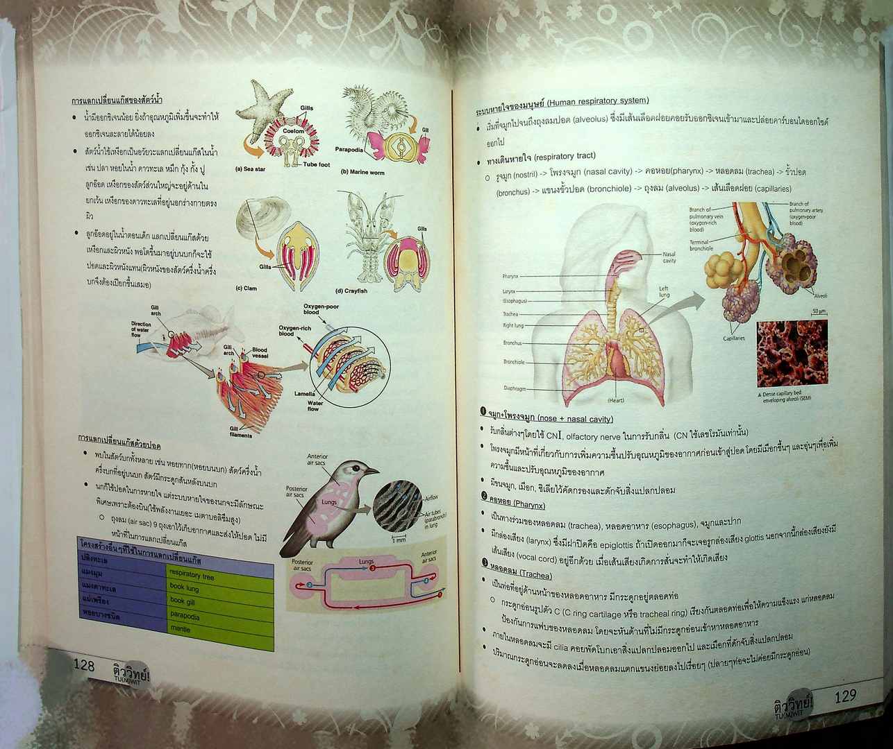 สรุปเนื้อหาชีววิทยา ม.ปลาย BIOLOGY