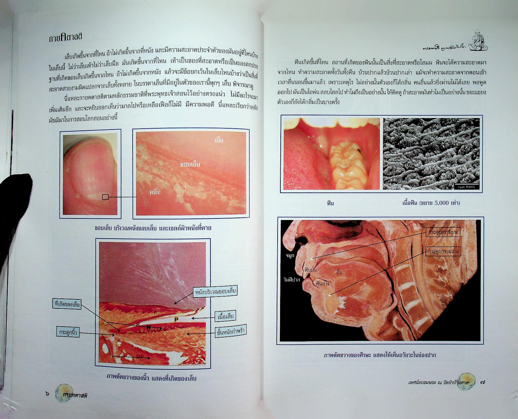 กายคตาสติ พระพุทธเจ้าทุกพระองค์ทรงสอน...กายคตาสติ