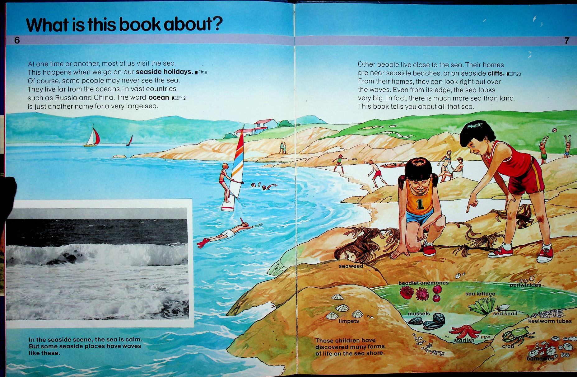 My First Encyclopedia 7 Seas and Oceans