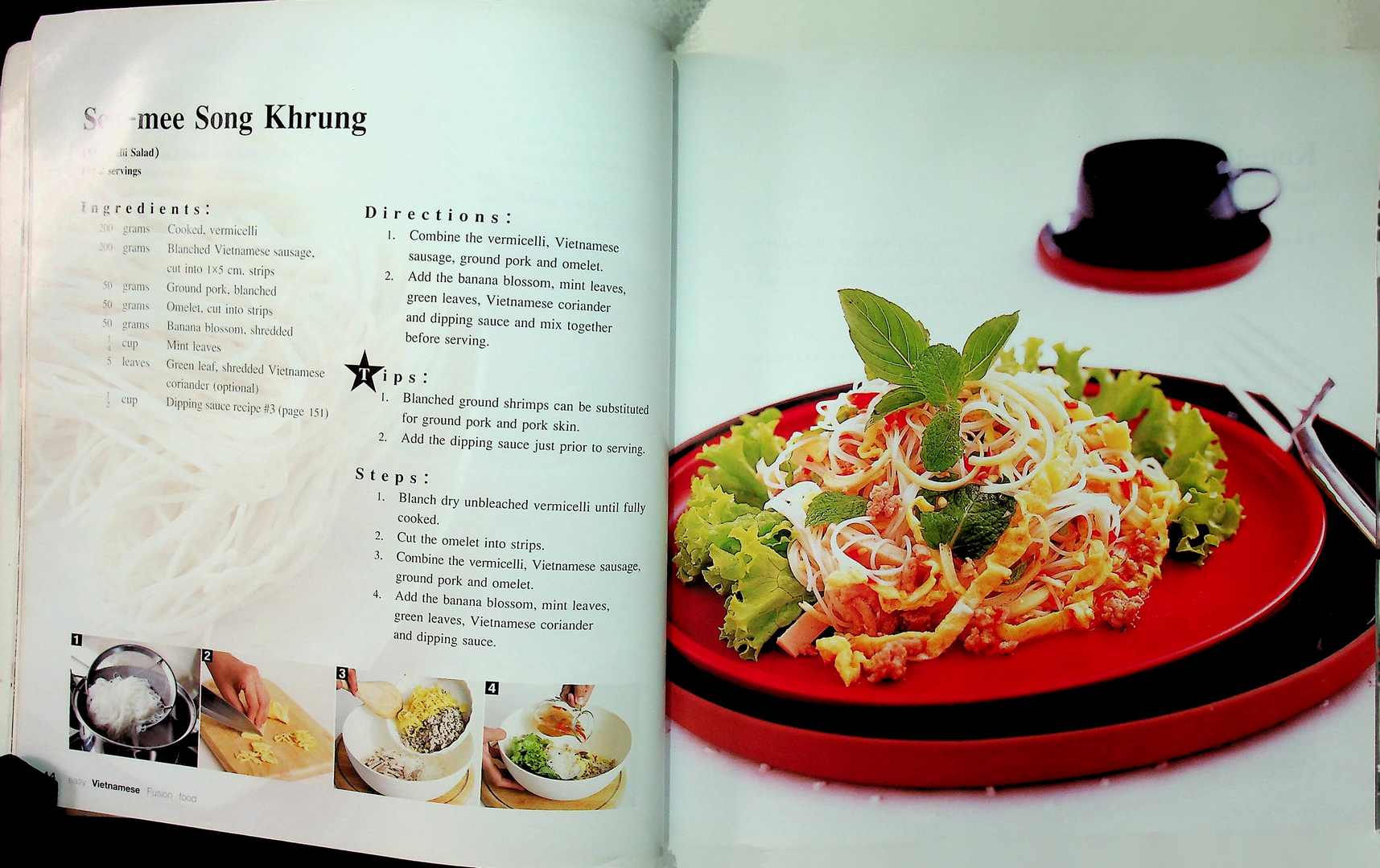 easy Vietnamese Fusion Food