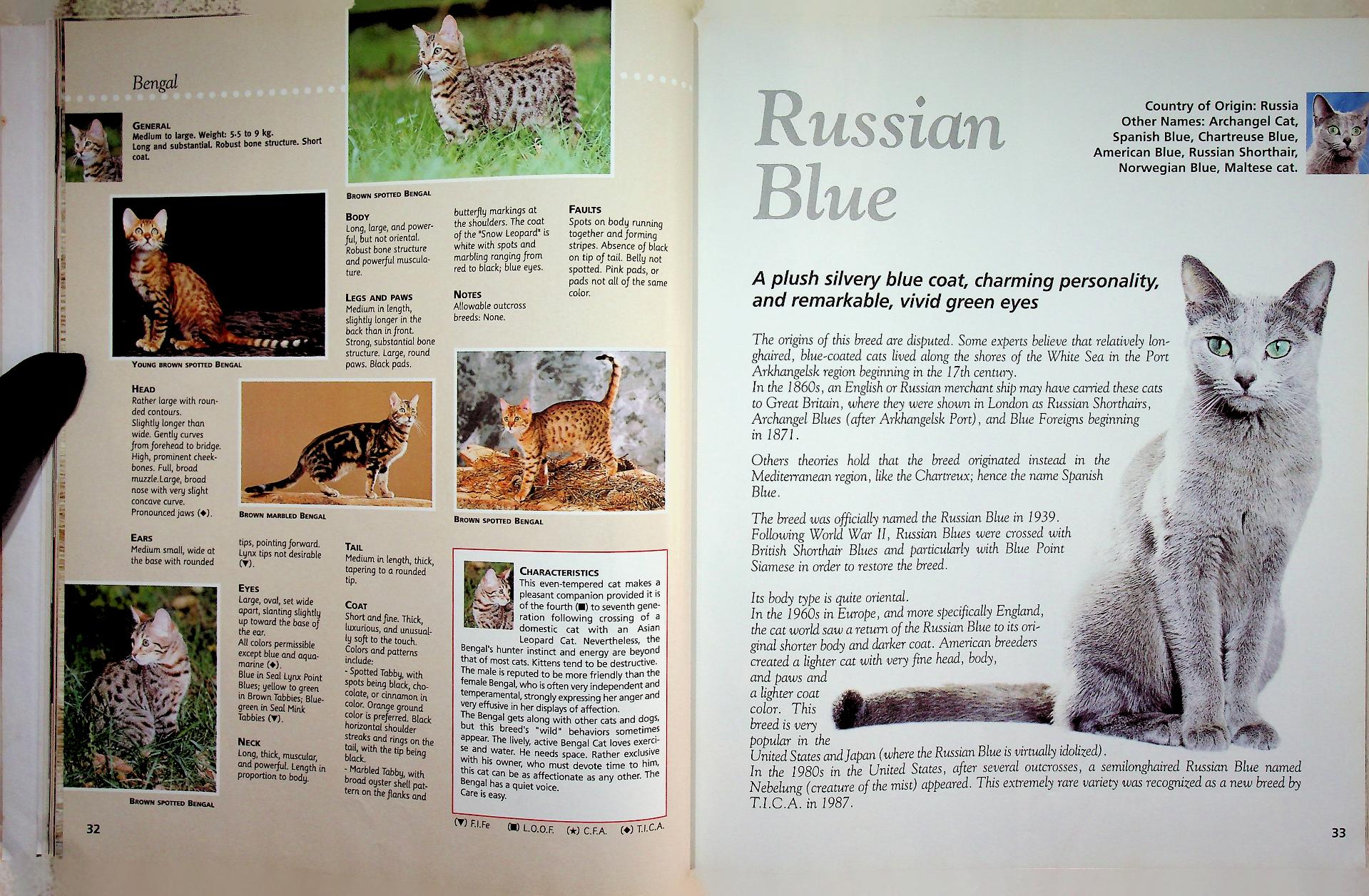 The Cat ENCYCLOPEDIA Volume 2