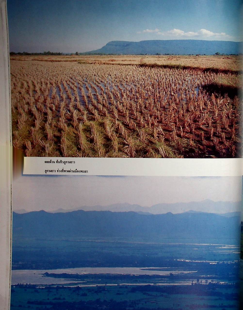 ประวัติศาสตร์ สังคมและวัฒนธรรม เมืองพะเยา PHAYAO : A Social and Cultural History