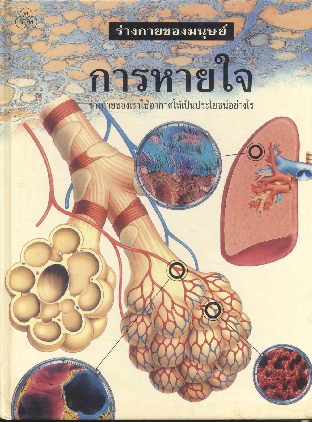 ร่างกายของมนุษย์ การหายใจ ร่างกายของเราใช้อากาศให้เป็นประโยชน์อย่างไร