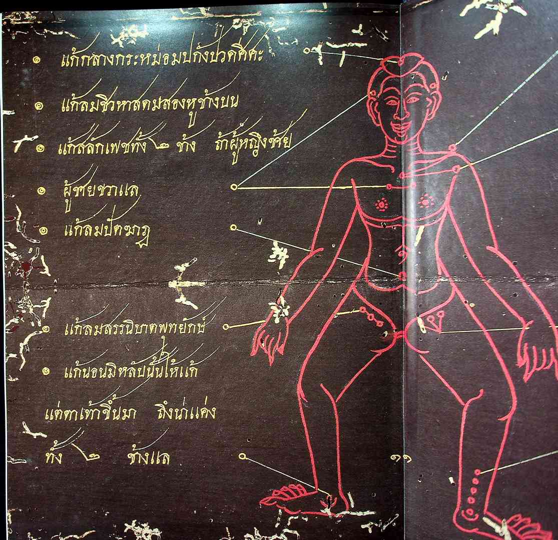 ตำราเวชศาสตร์ฉบับหลวง รัชกาลที่ ๕ เล่ม ๑ และ เล่ม ๒