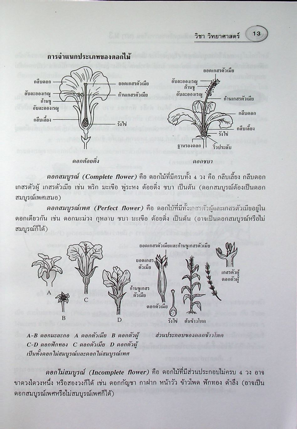 คู่มือเตรียมสอบ NT (National Test) ม.3 วิชา วิทยาศาสตร์