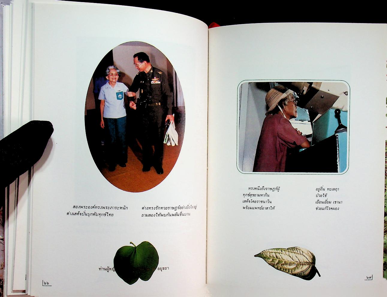 ๙๐ พรรษา แม่ฟ้าหลวง