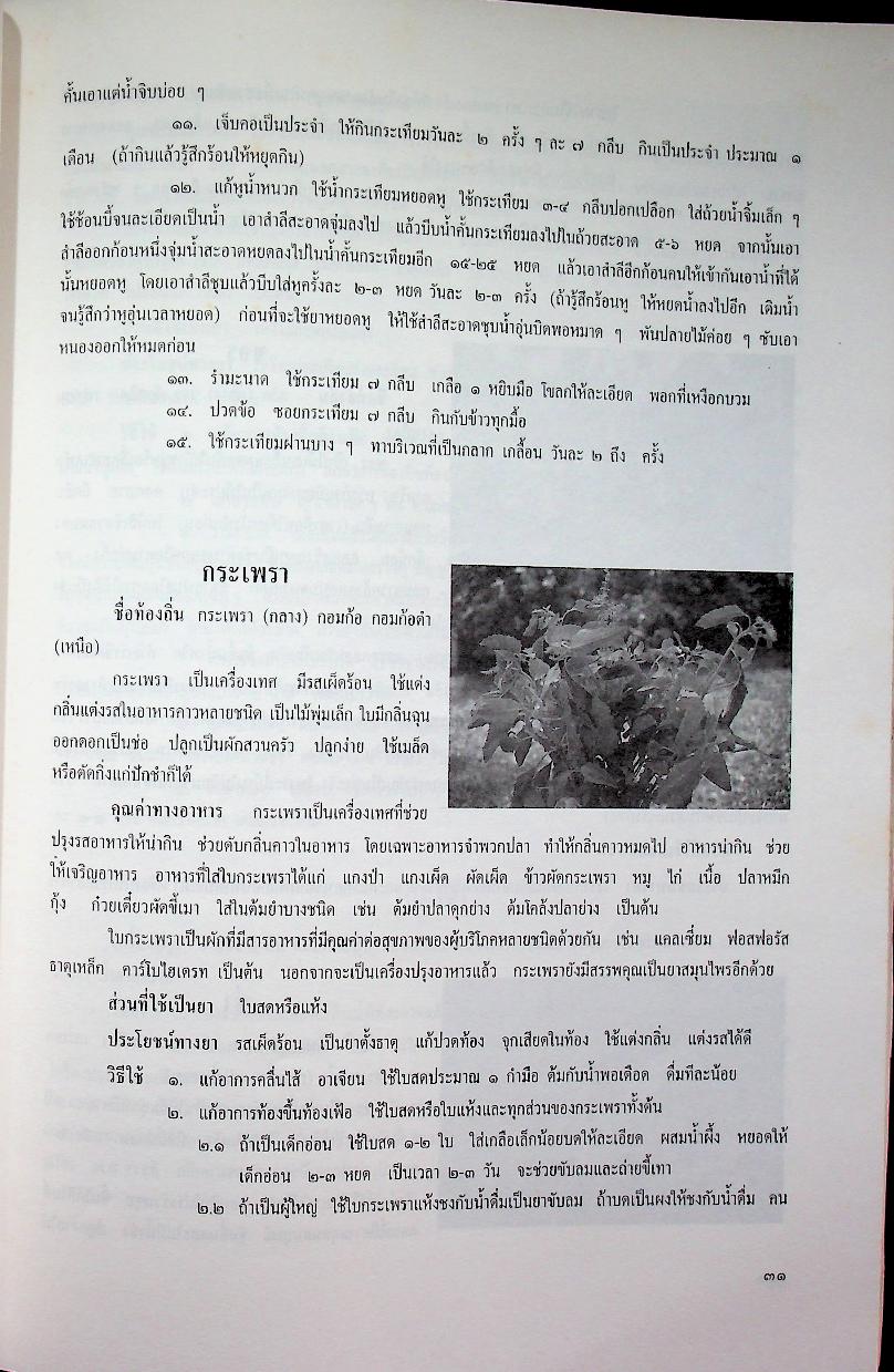 เกษตรกรรมธรรมชาติแบบไทยๆ : ผักบ้านเรา