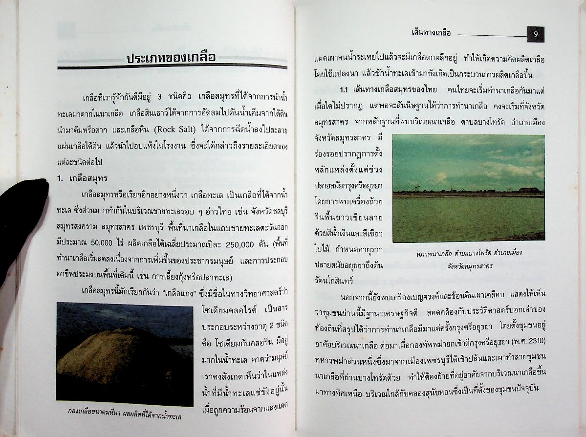 เส้นทางเกลือ