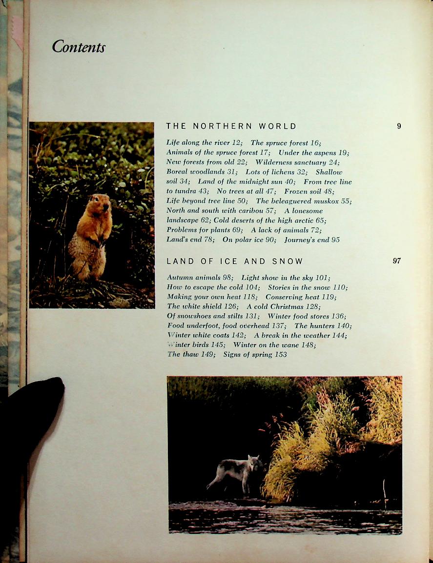 The Life of the Far North